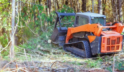 Land Clearing
